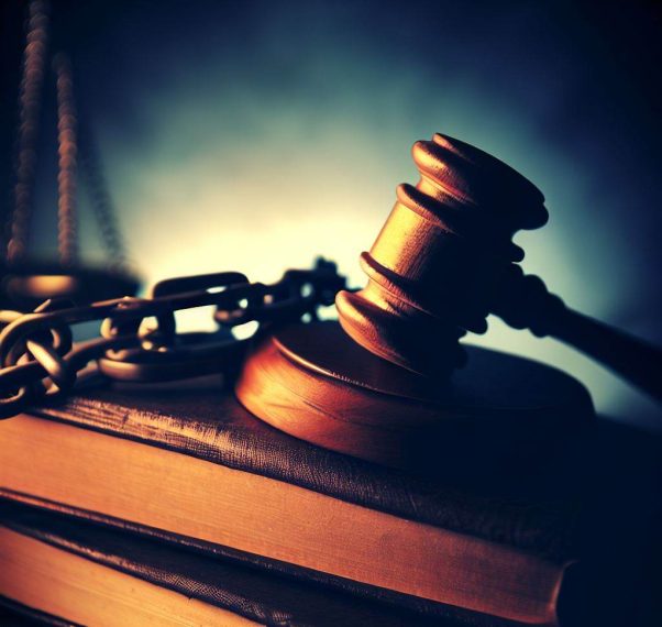 Furto de Animais Reflexões Jurídicas e Sociais